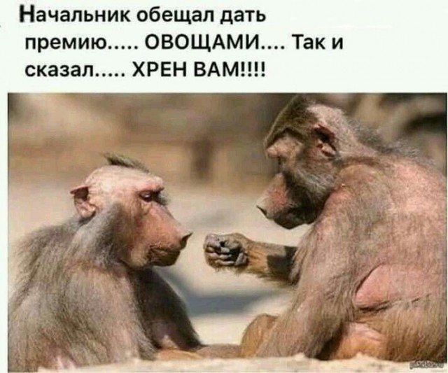 Всякая всячина