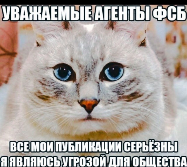 Вот каким образом новый месседжер конкурирует с другими