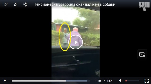 Пенсионерка устроила скандал из-за собаки