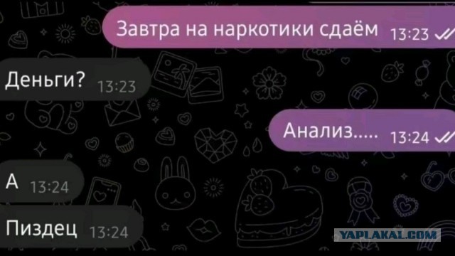 Сами виноваты