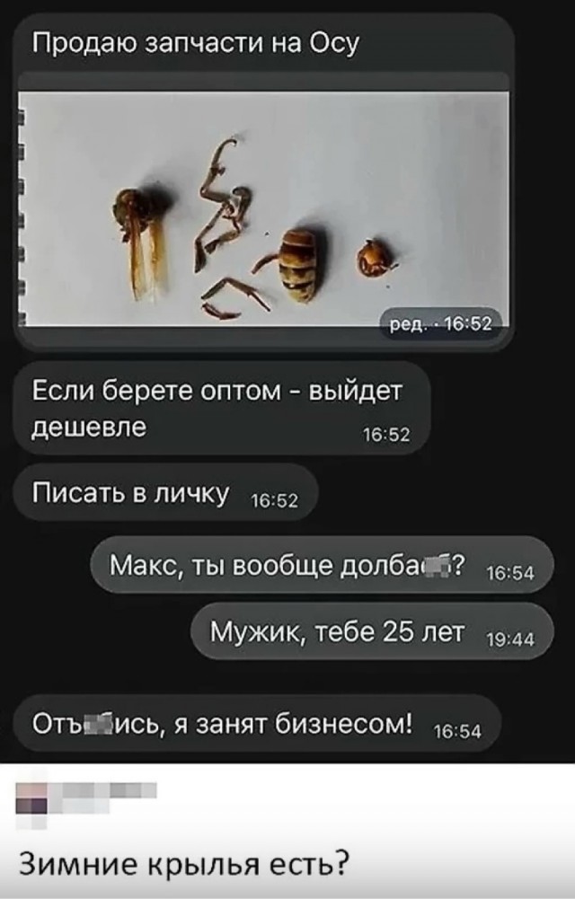 Картинки для деградации 41 (разной степени свежести)