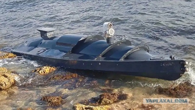 MWM: РФ заработает миллиарды долларов, если сохранит "Адмирала Кузнецова"