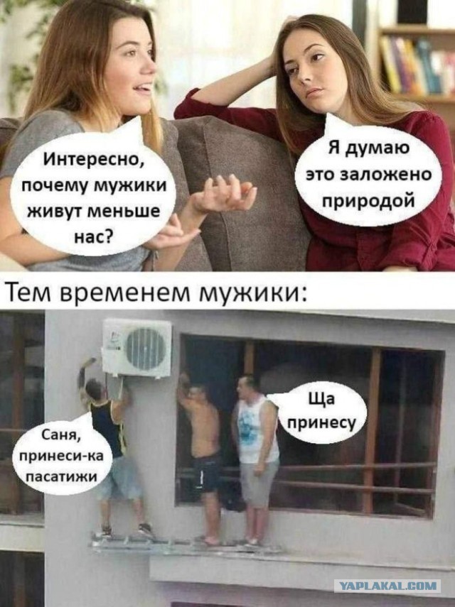 Картинки для деградации 43 (разной степени свежести)