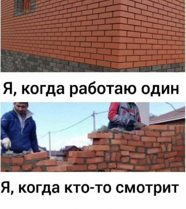 Картинки для деградации 48 (разной степени свежести)