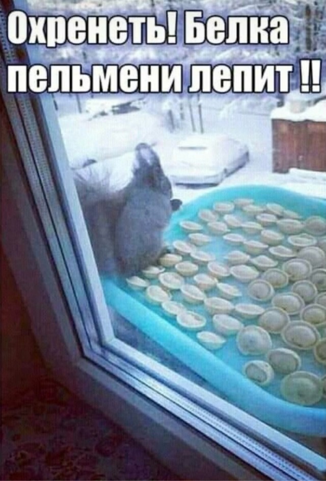 Маленькая пятница 19.11