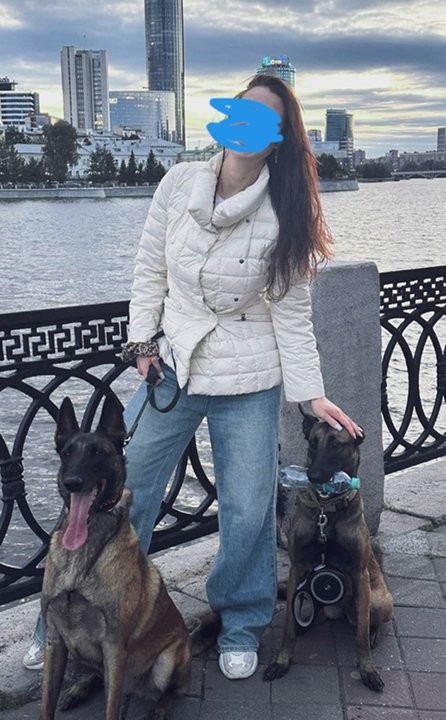 К собакочетвергу. Немного о Малинуа в городе