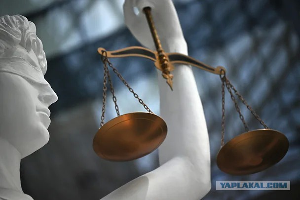 За незаконное преследование президента Путина представителям МУС назначили до 15 лет заключения