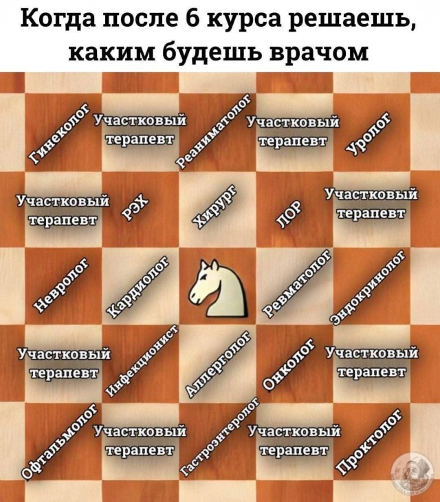 Нуштош 27.01.2026. Шахматный спецвыпуск