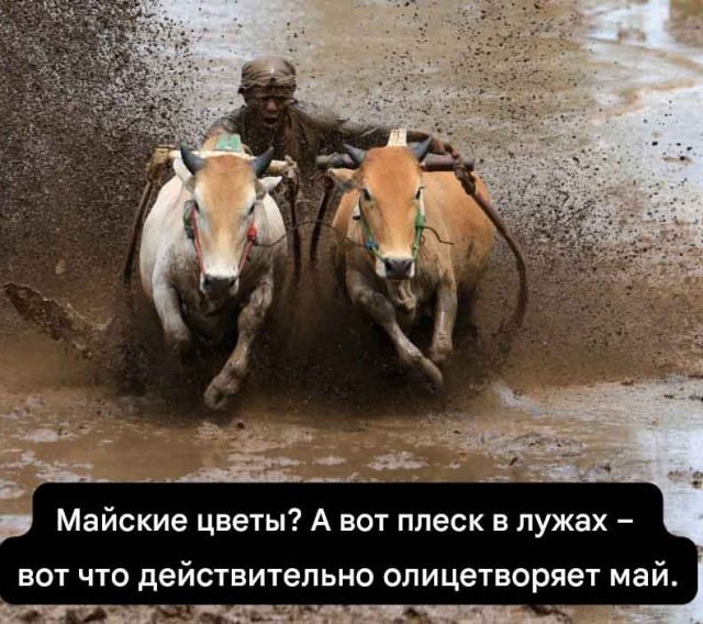 Весна в мемах