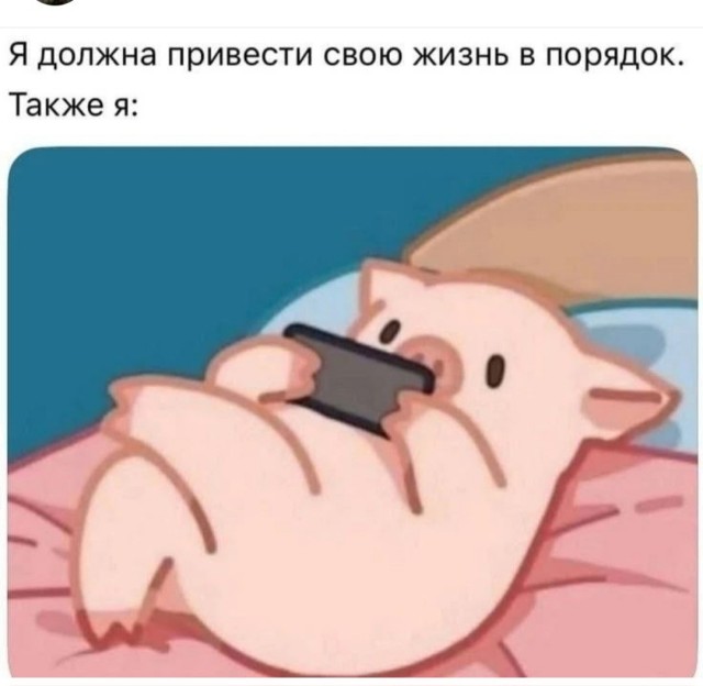 Картинки для деградации 203  (разной степени свежести)