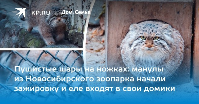 До/после. Как лучше?