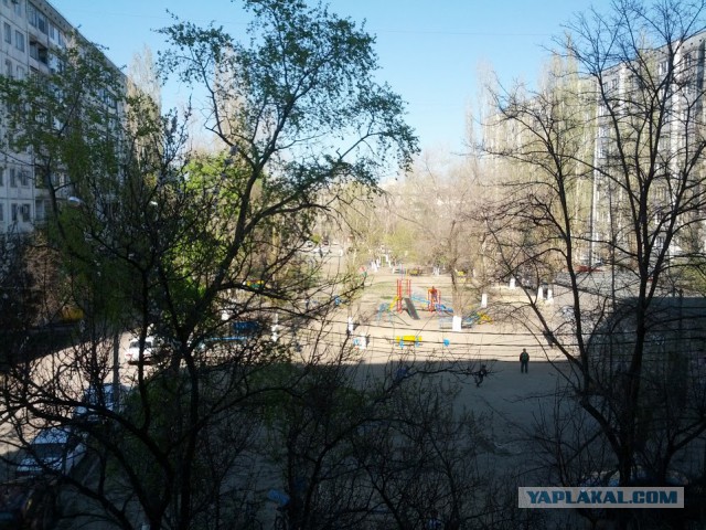 Командировка в Волгоград
