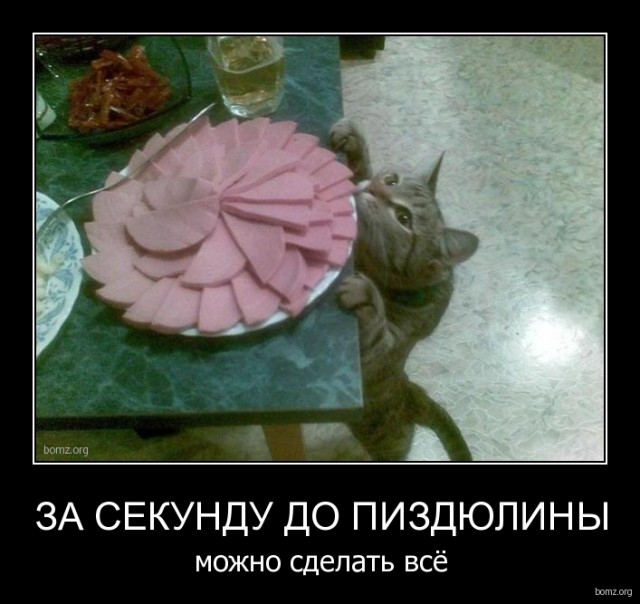 За секунду до...