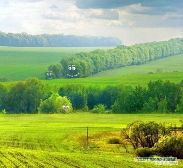 Плюсомет со шпалометом