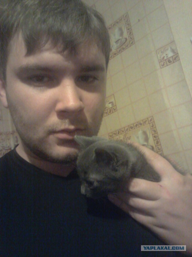 Кот
