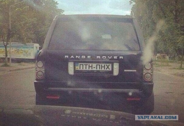 Надписи на авто.