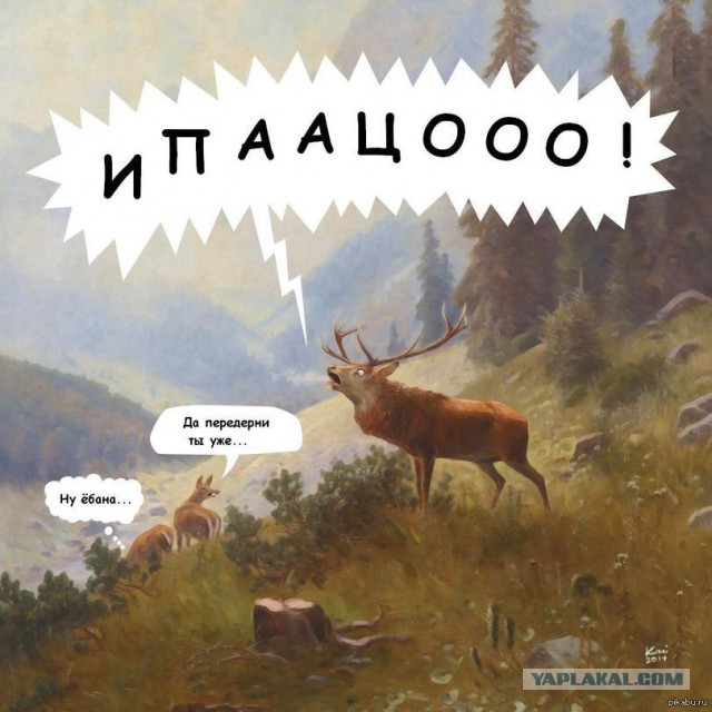 Смешные комментарии из социальных сетей