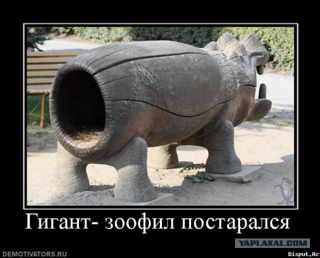 Вестник из соцсетей #8