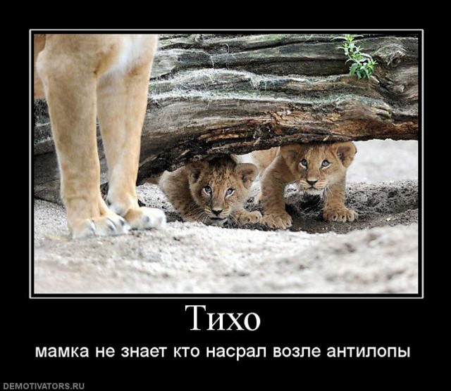 Вы хотите "демов"?