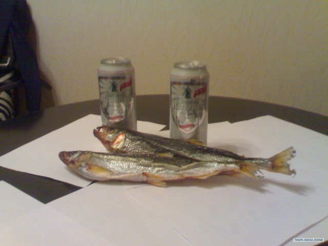 Корюшка зовет! Охота на рыбу-огурец