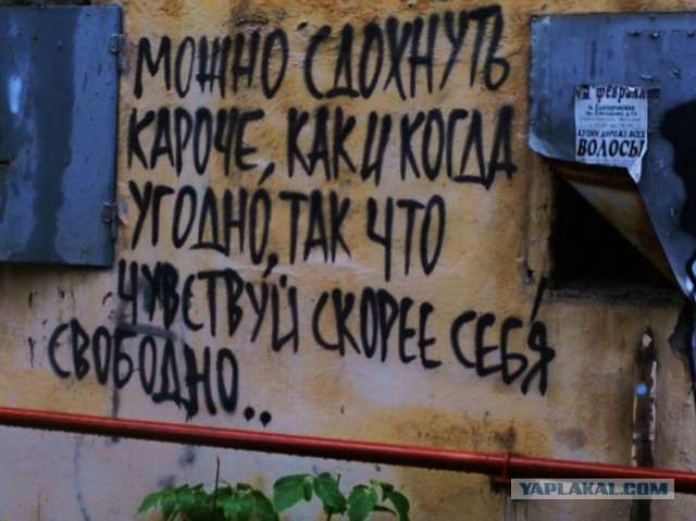 Надписи
