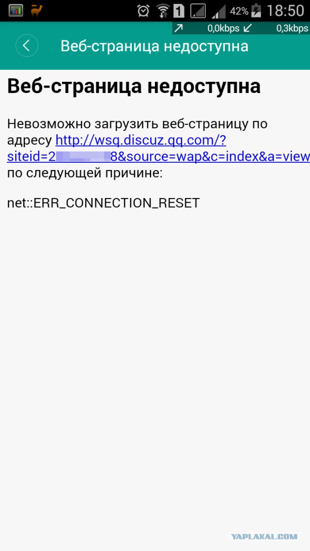 За что я люблю китайцев