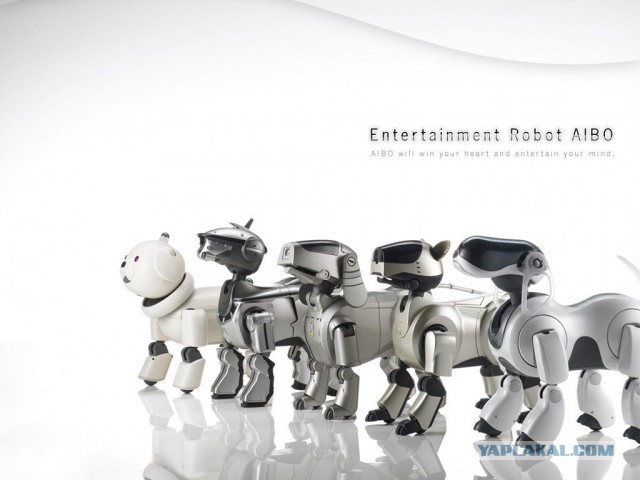 Не хочу убирать за котиком