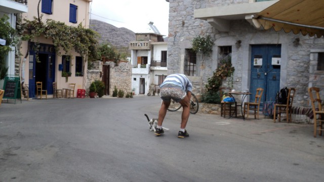 Тайги обожания пост