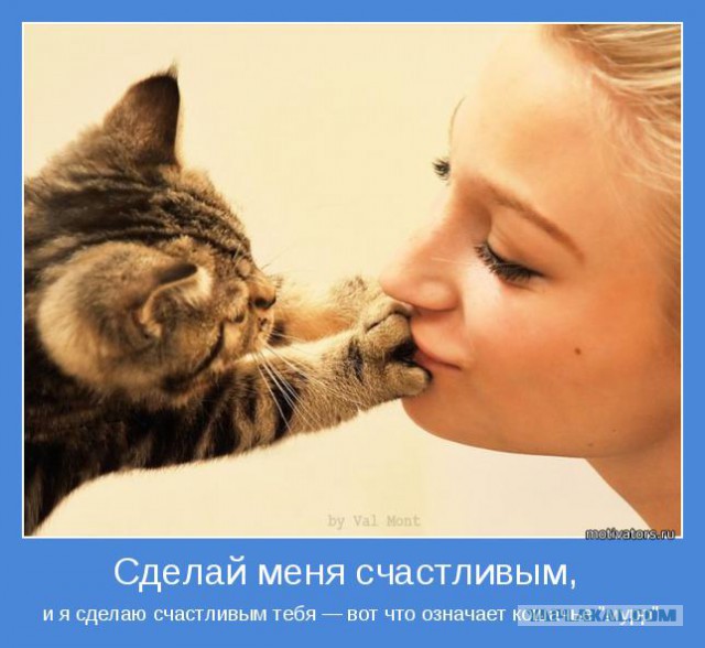 Демы к котовторнику!