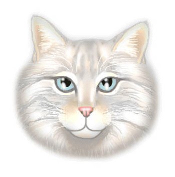 Вторничные кошаки