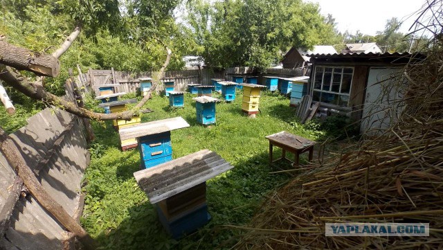 Сельскохозяйственный эксперимент  ч 11