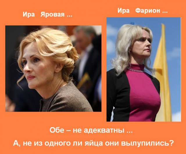 Коммунисты заподозрили Яровую в разжигании Майдана