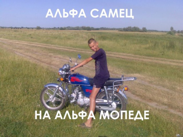 Настоящие альфа-самцы