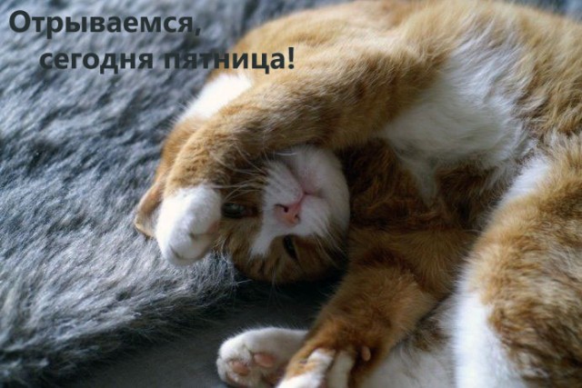 С ПЯТНИЦЕЙ!