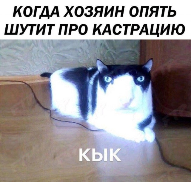 Забавных картинок не хотите ли?