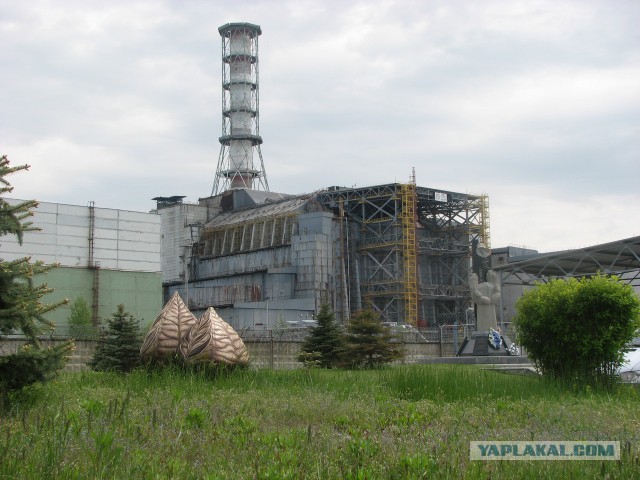Мёртвый город Припять. Джунгли Чернобыля