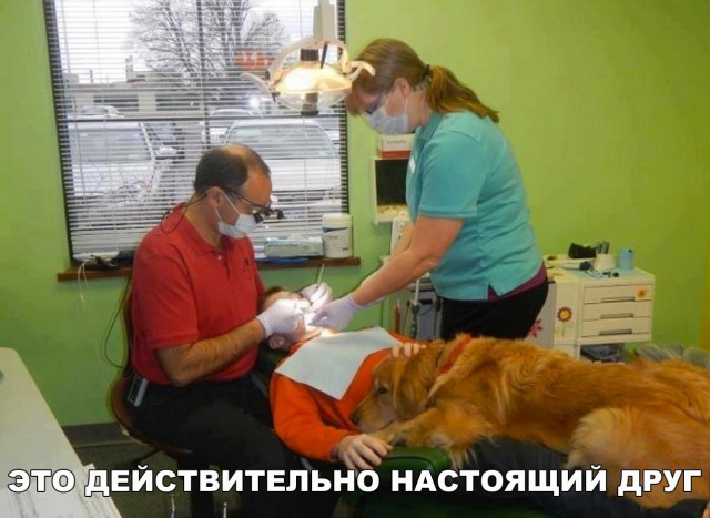 Нестандартный юмор