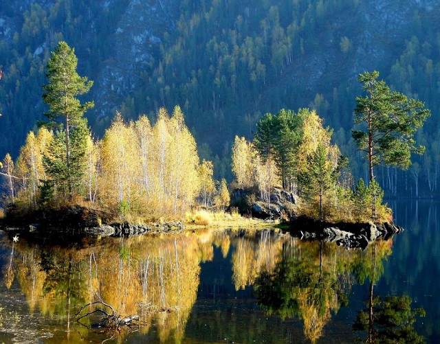 Осенняя тайга