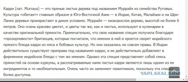 Кучмачи. Грузия в тарелке