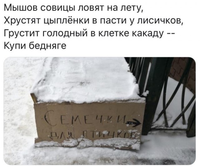Бредзона 06.12.2019