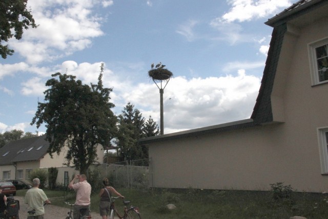 Деревенская Америка - 6