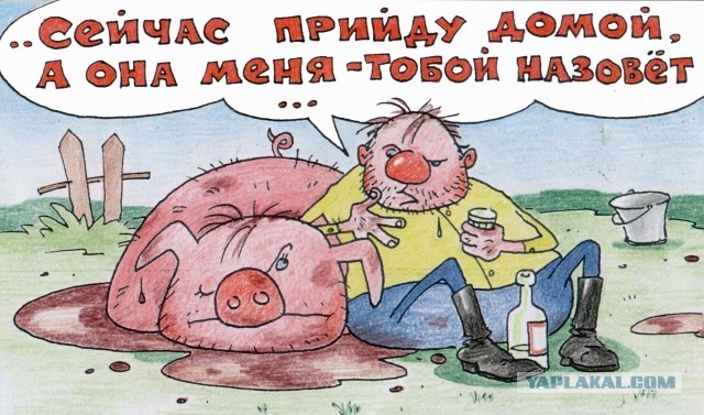 Деревенская Америка - 6