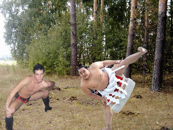 Фотожаба: Такое разное сумо...