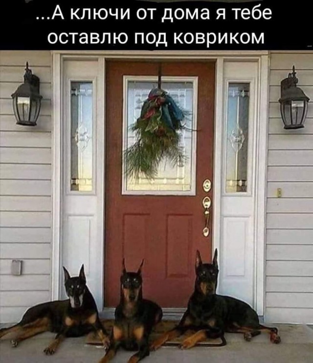 Картинки всякие, 27.08.2020
