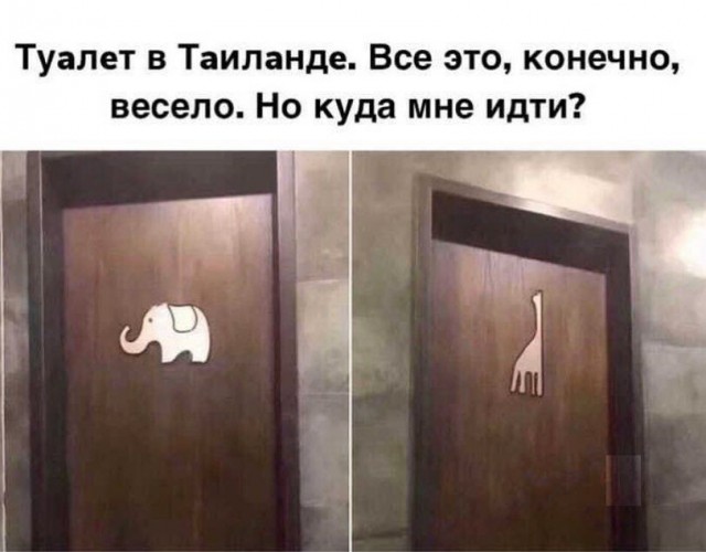 Забавные шутки, картинки и фразы из этих ваших интернетов