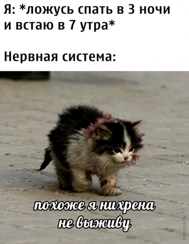 Немного картинок для настроения 18.09.20