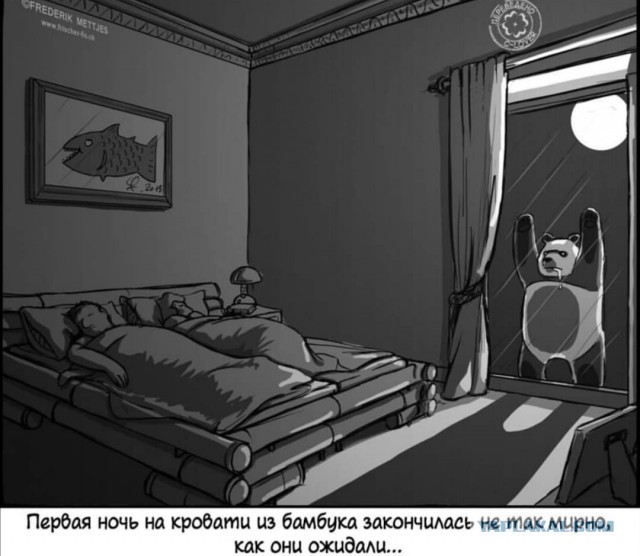 Немного картинок для настроения 06.11.20
