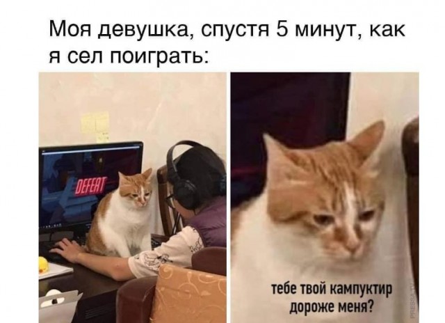 Картинки и мемы для настроения