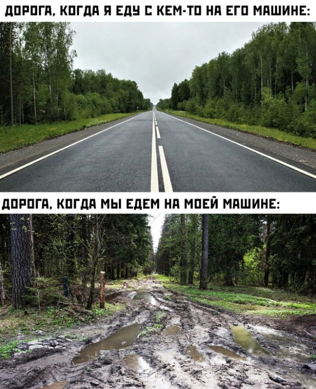 Весёлый полтишок 15.09