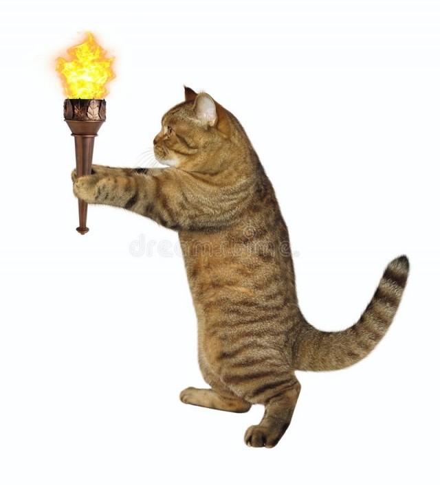 Молодой, дурной
